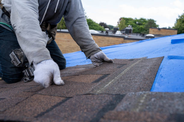 Best Storm Damage Roof Repair  in Sebastian, TX
